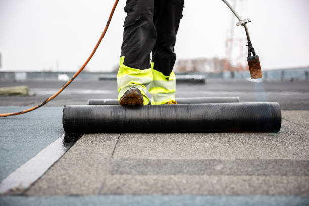 Best Roof Coating and Sealing  in Ridgebury, CT